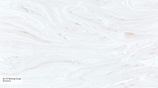 M-717 A Shrimp Crust